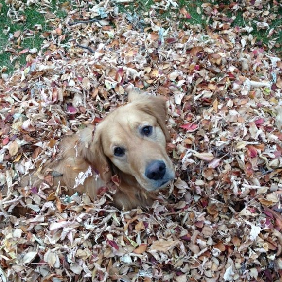 Meet your Posher, Janet - Picture 1 of 4